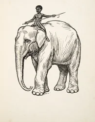 Remorse, julkaisusta A Hundred Anekdootes of Animals, pub. 1924