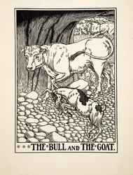 Härkä ja vuohi, julkaisusta A Hundred Fables of Aesop, pub.1903 (kaiverrus)