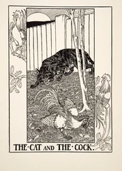 Kissa ja kukko, julkaisusta A Hundred Fables of Aesop, pub.1903