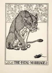 The Fatal Marriage, julkaisusta A Hundred Fables of Aesop, pub.1903