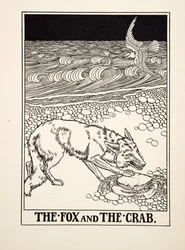 Kettu ja rapu, julkaisusta A Hundred Fables of Aesop, pub.1903 (kaiverrus)