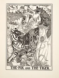 Kettu ja tiikeri, julkaisusta A Hundred Fables of Aesop, pub.1903 (kaiverrus)