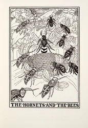 Hornetit ja mehiläiset, Fontaine Fables, pub. 1905 (kaiverrus)
