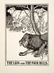 Leijona ja neljä härkää, teoksesta A Hundred Fables of Aesop, pub.1903 (kaiverrus)