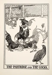The Partridge and the Cocks, julkaisusta A Hundred Fables of Aesop, pub.1903