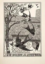 Pääskynen ja muut linnut, julkaisusta A Hundred Fables of Aesop, pub.1903