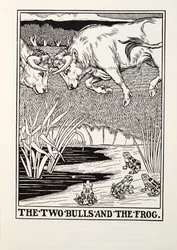 Kaksi härkää ja sammakko, teoksesta Fontainen taruja, pub. 1905