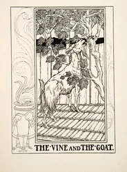 Viiniköynnös ja vuohi, julkaisusta A Hundred Fables of Aesop, pub.1903