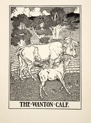 The Wanton Calf, sarjasta A Hundred Fables of Aesop, pub.1903