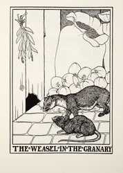 The Weasel in the Granary, Fontainen taruista, pub. 1905