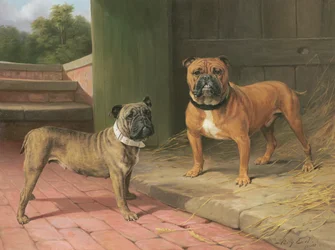 Red Bulldog ja Brindle Bulldog navetta (öljy kankaalle)