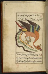 Lisää MS 15241 f.64r Simurgh, iranilainen ukkoslintu, "Majma" Al-ghara