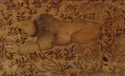 Tutkimus leijonasta, 1500-luku