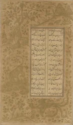 Simurgh, lohikäärme, eläimet ja linnut maisemassa, folio Yusuf u-Zulaikhasta Jami (k. 1492) Qazvin, Iran, Safavid-dynastia, 1557 (mustetta ja kultaa paperilla)