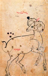 f.154a Oinas, pässi, persialainen, Isfahanista tai Shirazista, n. 1600 (muste paperille)