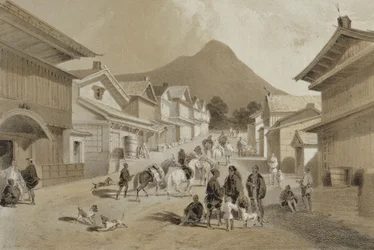 Katu Hakodadissa, julkaisusta "Kertomus amerikkalaisen laivueen tutkimusmatkasta Kiinanmerelle ja Japaniin", pub. Sarony und Co., 1856 (sävytetty litho)
