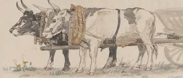 Dos bous tirant un carro, 1874.