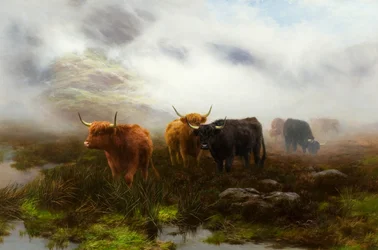Moorland ja Mist