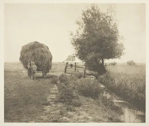 Hayselissa (Norfolk)
