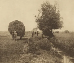 Heinänkorjuussa [Norfolk]