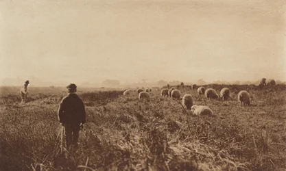 Suot kesäkuussa 1890-1891, painettu 1893.
