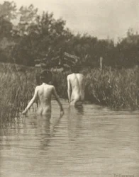 Vesi-vauvat