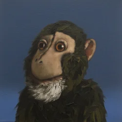 Andy Monkey, 2017