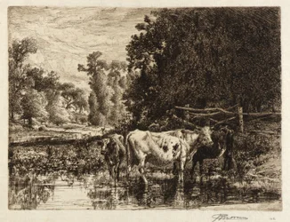 (Neshaminy-joella)