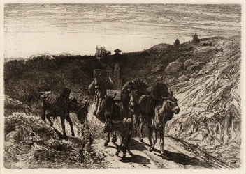 Burro Train, New Mexico