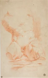 Belvederen torso