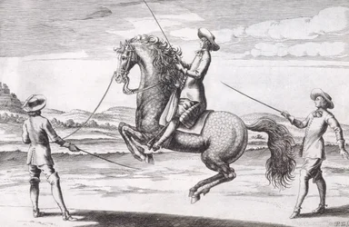 Kuva hevosesta en Croupade Wintersin, Stutereyn ja Reit-Schulin pubin kirjoittamasta uudesta traktaatista jalostushevosista. 1672