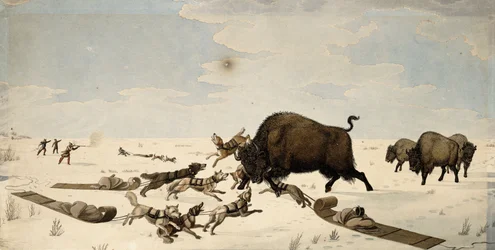 Buffalo Hunt, n. 1822-1824