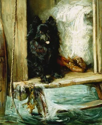 Jätetty vartijaksi - musta pomeranian uimakopin portailla