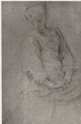 Domenichino, suru