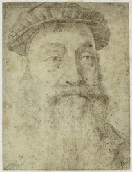 Kuva Bronzinon teoksesta "Study for the Portrait of Stefano Colonna"