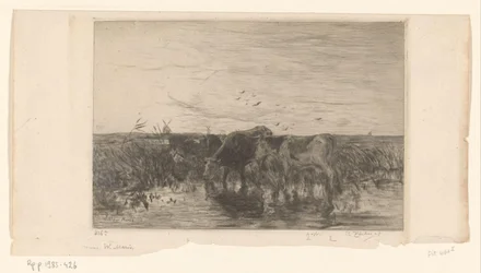 Lehmät lähellä vettä niityllä Vaches au bord de l