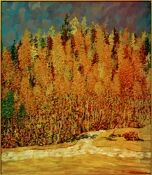 Syksyinen metsä