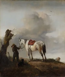 Harmaa hevonen, noin 1646
