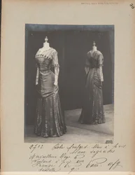 Albumisivu: House of Worth, Dress
