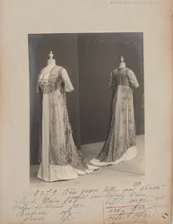 Albumisivu: House of Worth, Tea Gown