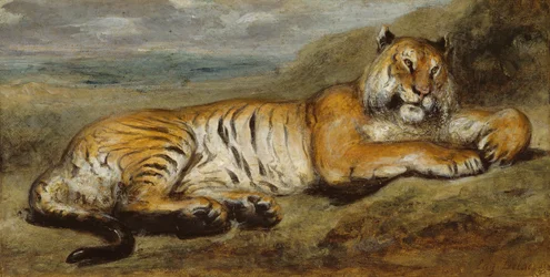 Tiikeri lepää, n. 1830.