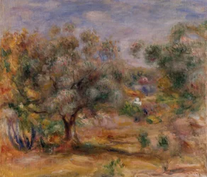 Oliivipuu Les Collettesissa, n.1910-15 (öljy kankaalle)