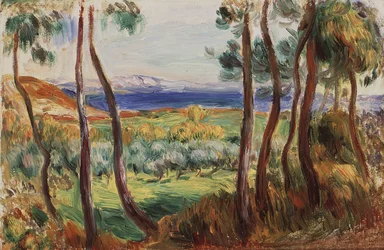 Pines ympärillä Cagnes, n. 1910.