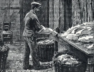 Couro: divisão de peles de coelho para fazer couro Gravura de “Excursion a travers les metiers” de Pierre Calmette Private Collectionfinlandês