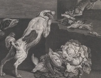 Koirat ja asetelmat, 1778