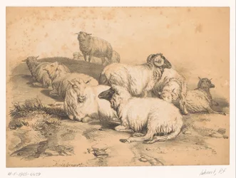 Lammaslauma