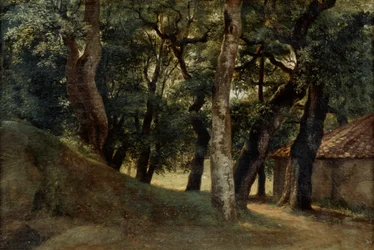 Villa Borghesen metsä, 1700-luvun loppu 1800-luvun alussa