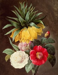 Eksoottisia kukkia