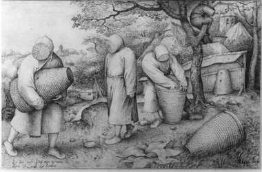 Mehiläishoitajat, "Jos tiedät missä aarre on, voit ryöstää sen", n. 1567-68