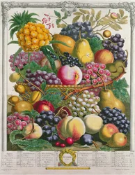 Lokakuu, teoksesta "Twelve Months of Fruits", Robert Furber (n. 1674-1756), kaiverrus Henry Fletcher, 1732 (värikaiverrus)
